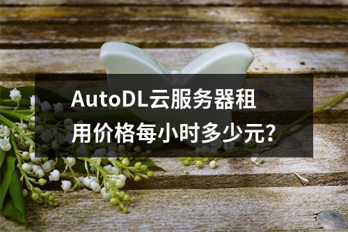 AutoDL云服务器租用价格每小时多少元？