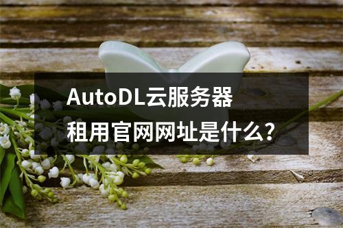 AutoDL云服务器租用官网网址是什么？