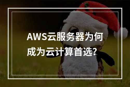 AWS云服务器为何成为云计算首选？