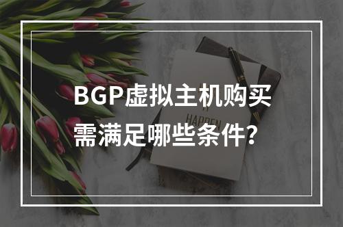 BGP虚拟主机购买需满足哪些条件？