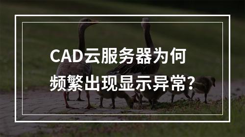 CAD云服务器为何频繁出现显示异常？