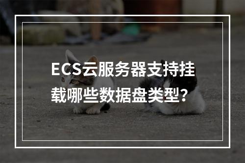 ECS云服务器支持挂载哪些数据盘类型？