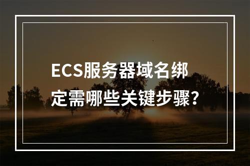 ECS服务器域名绑定需哪些关键步骤？