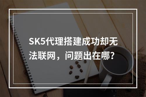 SK5代理搭建成功却无法联网，问题出在哪？