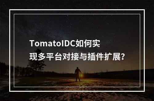 TomatoIDC如何实现多平台对接与插件扩展？