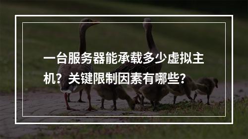 一台服务器能承载多少虚拟主机？关键限制因素有哪些？