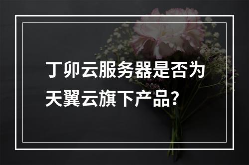 丁卯云服务器是否为天翼云旗下产品？