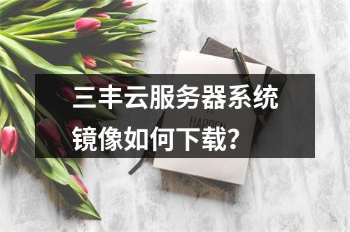 三丰云服务器系统镜像如何下载？