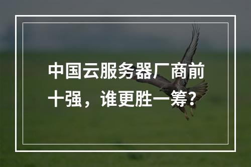 中国云服务器厂商前十强，谁更胜一筹？