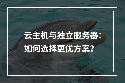 云主机与独立服务器：如何选择更优方案？