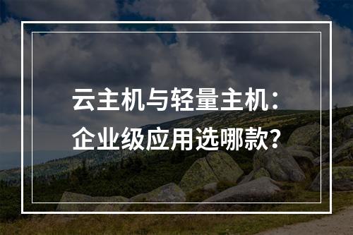 云主机与轻量主机：企业级应用选哪款？