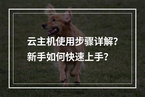 云主机使用步骤详解？新手如何快速上手？
