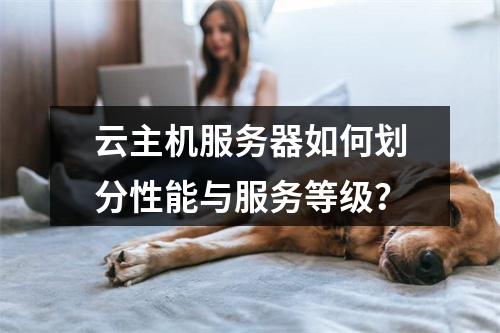 云主机服务器如何划分性能与服务等级？