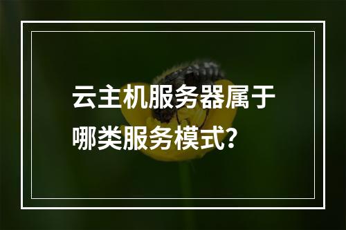 云主机服务器属于哪类服务模式？