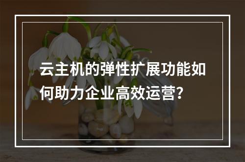 云主机的弹性扩展功能如何助力企业高效运营？
