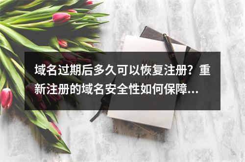 域名过期后多久可以恢复注册?重新注册的域名安全性如何保障?