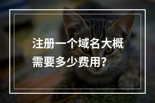 注册一个域名大概需要多少费用?