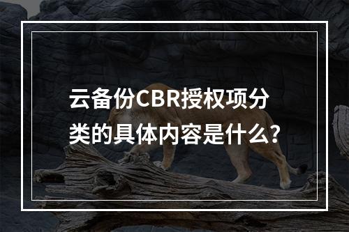 云备份CBR授权项分类的具体内容是什么?