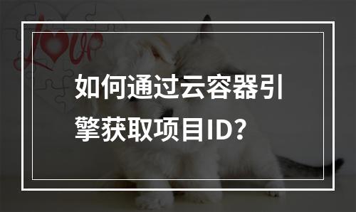 如何通过云容器引擎获取项目ID?