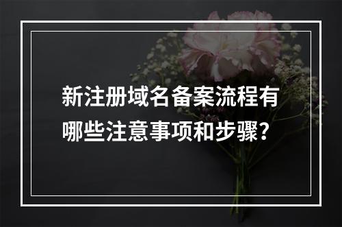 新注册域名备案流程有哪些注意事项和步骤?