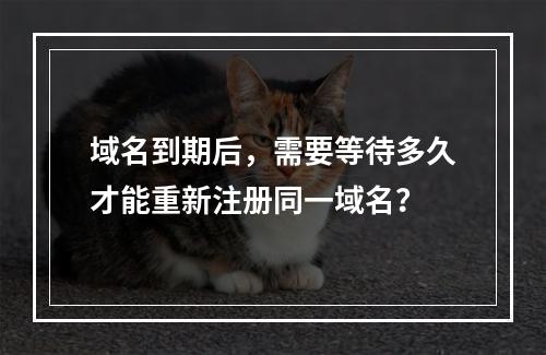 域名到期后,需要等待多久才能重新注册同一域名?