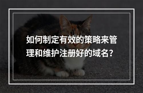 如何制定有效的策略来管理和维护注册好的域名?