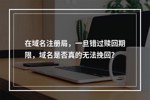 在域名注册局,一旦错过赎回期限,域名是否真的无法挽回?