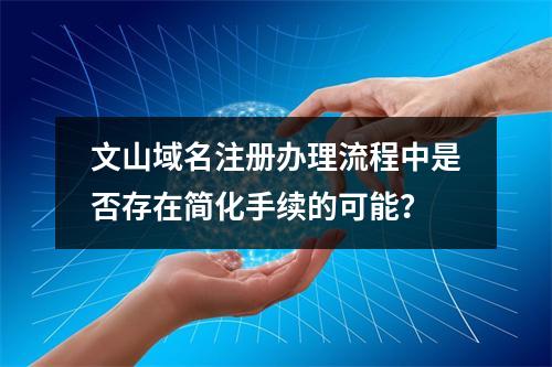 文山域名注册办理流程中是否存在简化手续的可能?