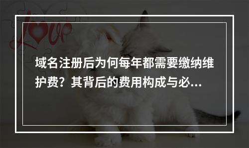 域名注册后为何每年都需要缴纳维护费?其背后的费用构成与必要性揭秘?