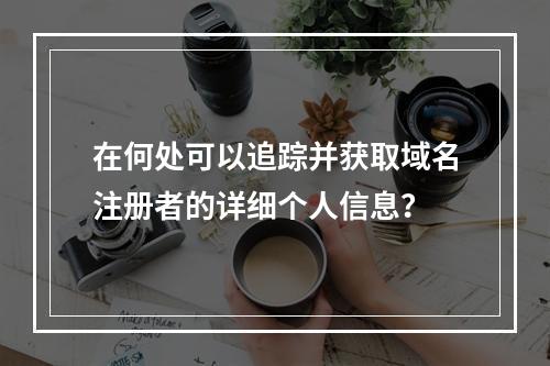 在何处可以追踪并获取域名注册者的详细个人信息?