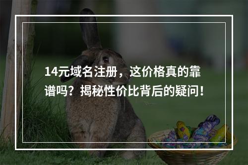 14元域名注册,这价格真的靠谱吗?揭秘性价比背后的疑问!