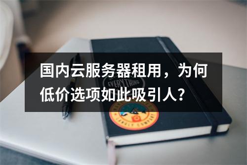 国内云服务器租用,为何低价选项如此吸引人?