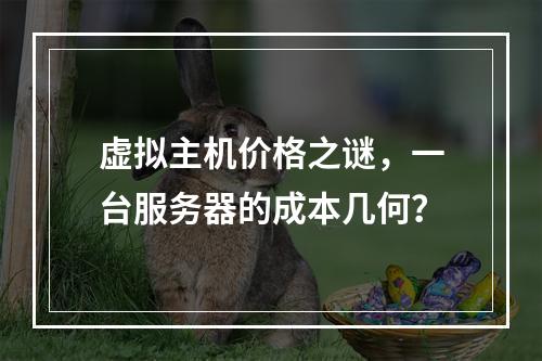 虚拟主机价格之谜,一台服务器的成本几何?