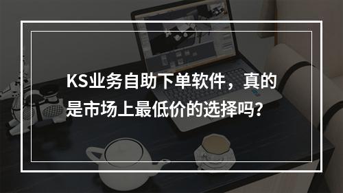 KS业务自助下单软件,真的是市场上最低价的选择吗?