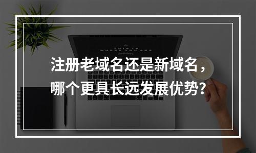 注册老域名还是新域名,哪个更具长远发展优势?
