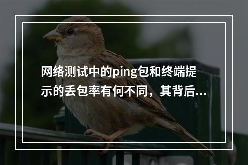 网络测试中的ping包和终端提示的丢包率有何不同,其背后的检测机制又是怎样的?