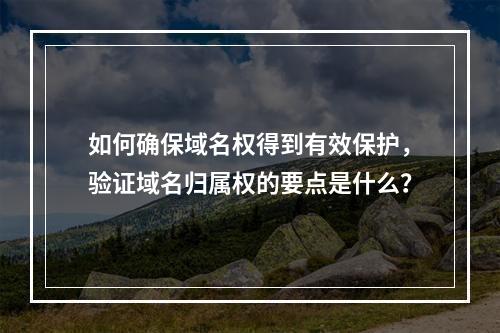 如何确保域名权得到有效保护,验证域名归属权的要点是什么?