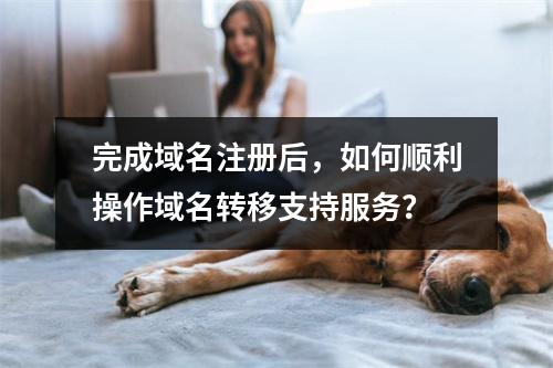 完成域名注册后,如何顺利操作域名转移支持服务?