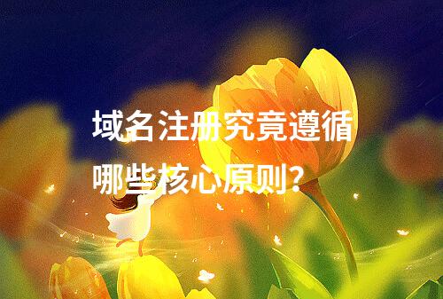 域名注册究竟遵循哪些核心原则?
