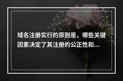 域名注册实行的原则是,哪些关键因素决定了其注册的公正性和有效性?