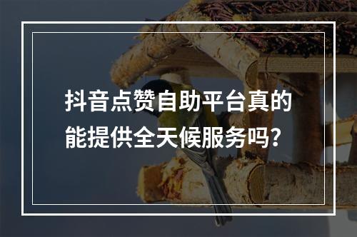 抖音点赞自助平台真的能提供全天候服务吗?