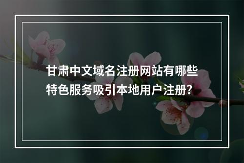 甘肃中文域名注册网站有哪些特色服务吸引本地用户注册?