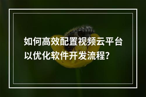 如何高效配置视频云平台以优化软件开发流程?