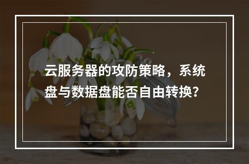 云服务器的攻防策略,系统盘与数据盘能否自由转换?