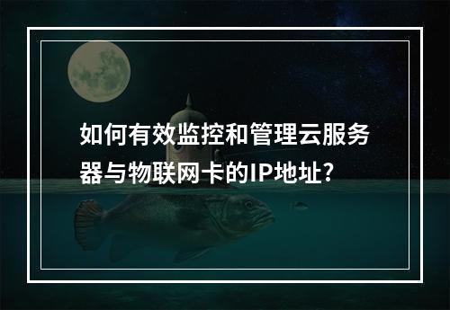 如何有效监控和管理云服务器与物联网卡的IP地址?