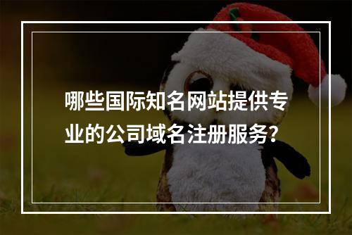 哪些国际知名网站提供专业的公司域名注册服务?