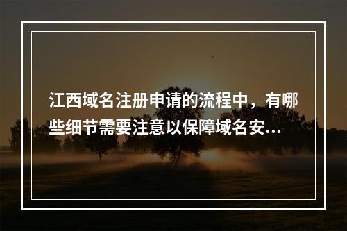 江西域名注册申请的流程中,有哪些细节需要注意以保障域名安全?
