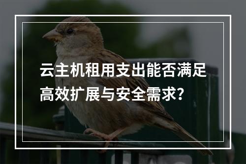 云主机租用支出能否满足高效扩展与安全需求？