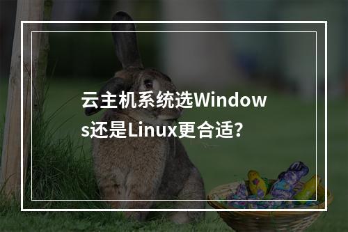 云主机系统选Windows还是Linux更合适？