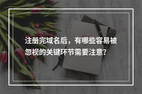 注册完域名后,有哪些容易被忽视的关键环节需要注意?